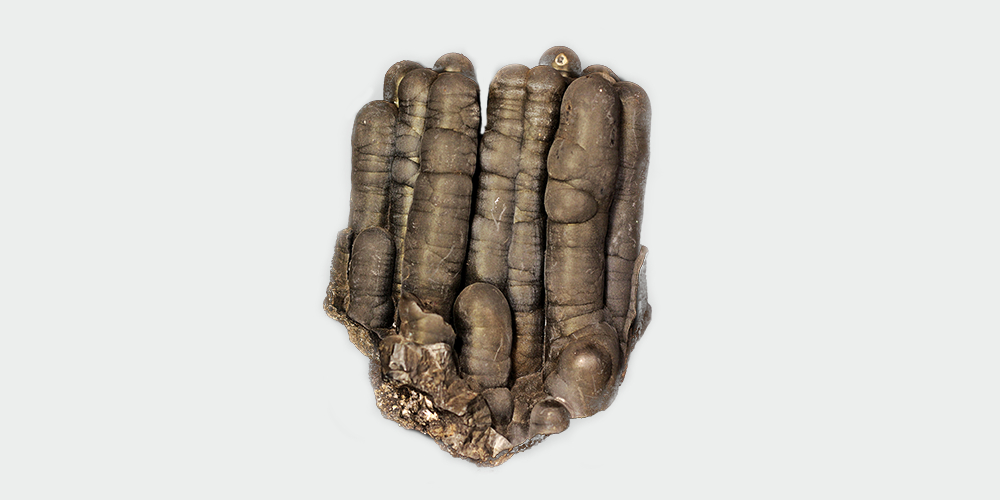 Pyrolusite