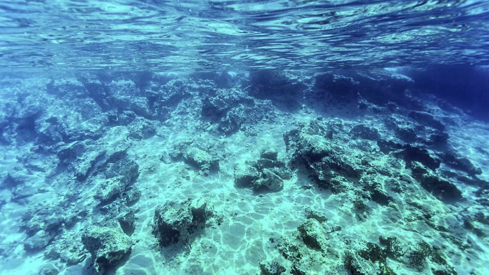 Jazidas minerais são encontradas no fundo do mar
