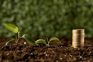 Saiba a importância do cobre para o avanço da economia verde