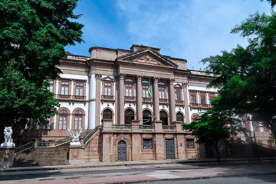 “De férias no Museu”: ciência e arte para todas as idades 