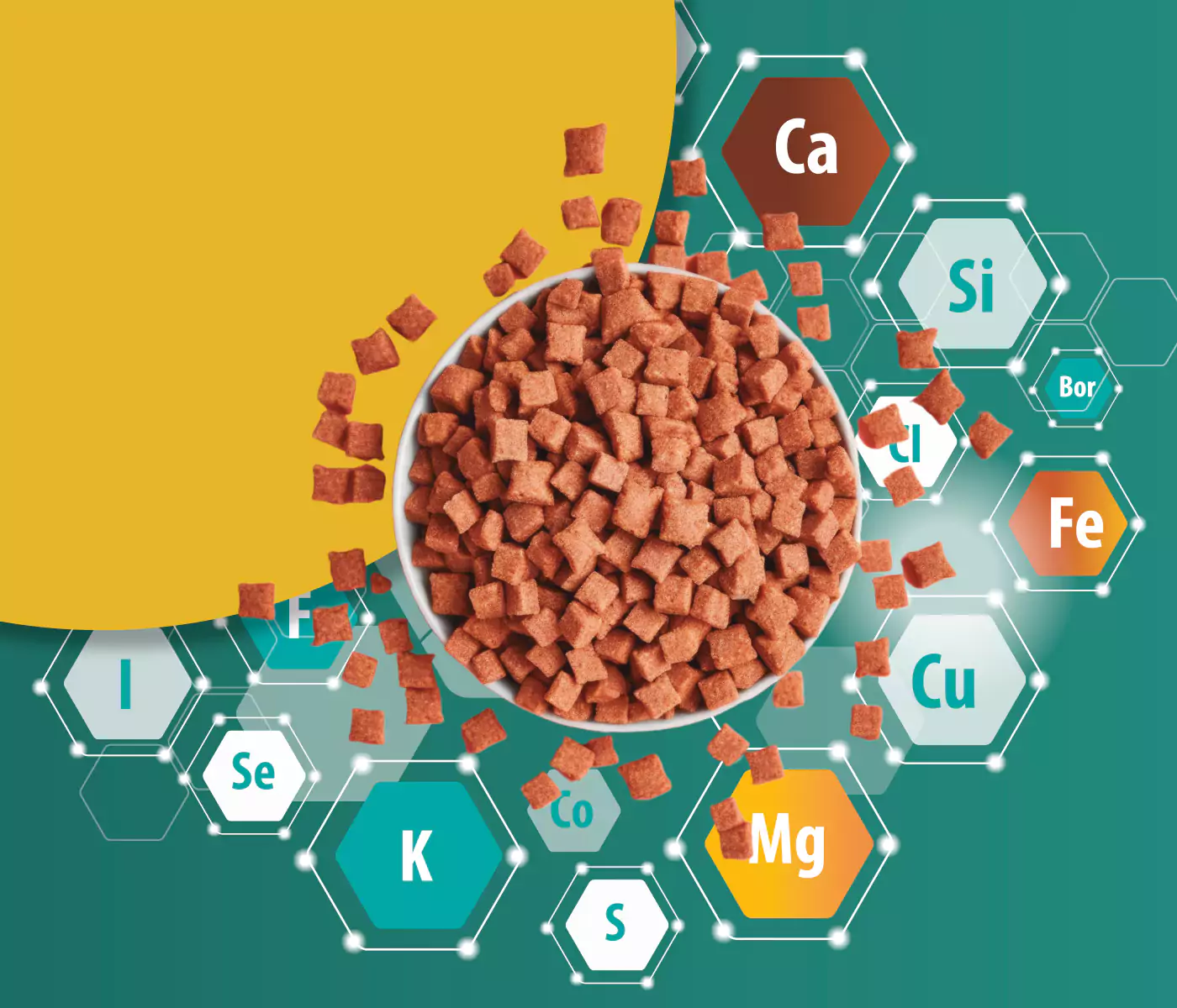 Minerais orgânicos desempenham funções essenciais na nutrição dos pets