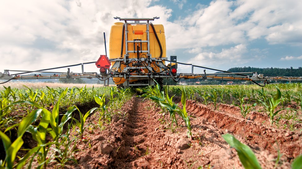Como a mineração ajuda a produzir nossa comida e enfrentar a seca